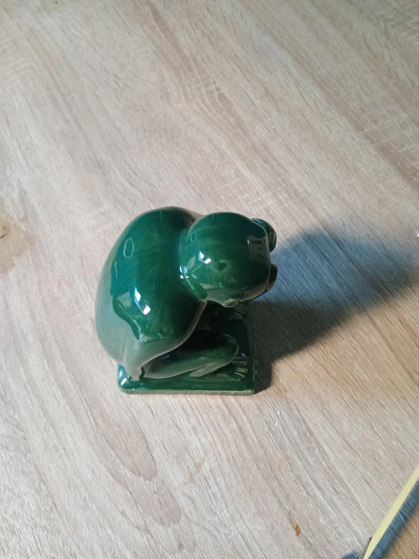 Le singe vert penseur du grand garde de Mons