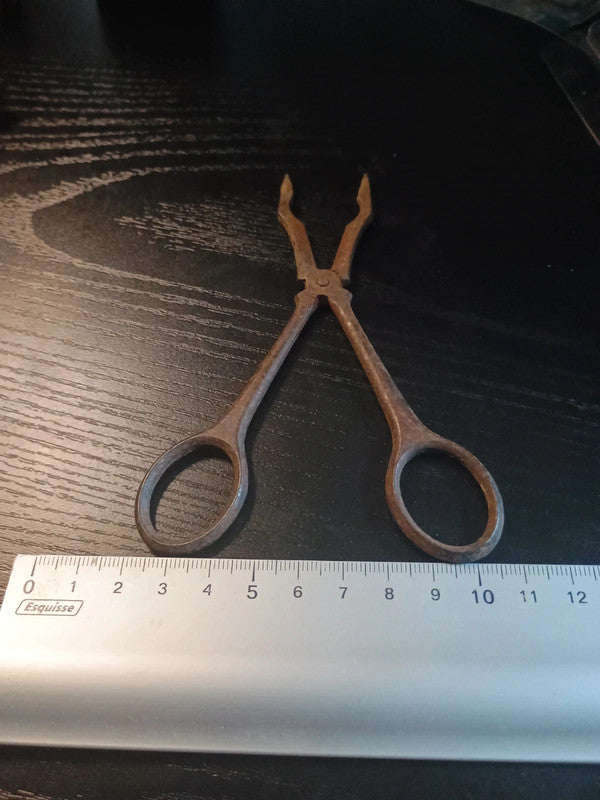 Ciseaux Pince à sucre pour décoration (rouillé)