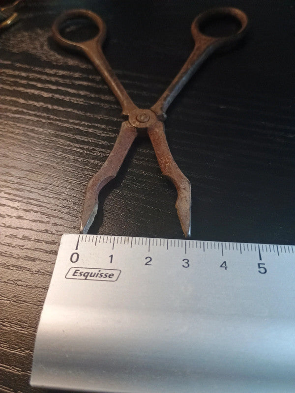 Ciseaux Pince à sucre pour décoration (rouillé)