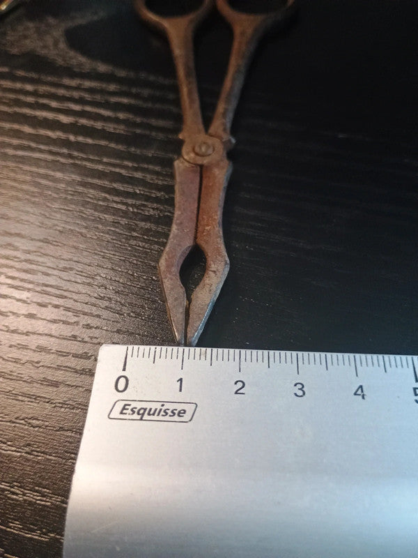Ciseaux Pince à sucre pour décoration (rouillé)