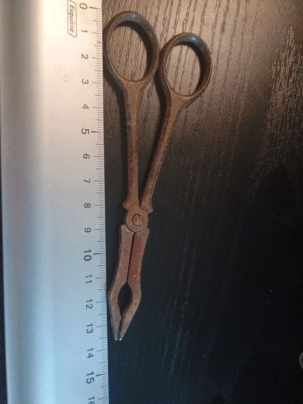 Ciseaux Pince à sucre pour décoration (rouillé)