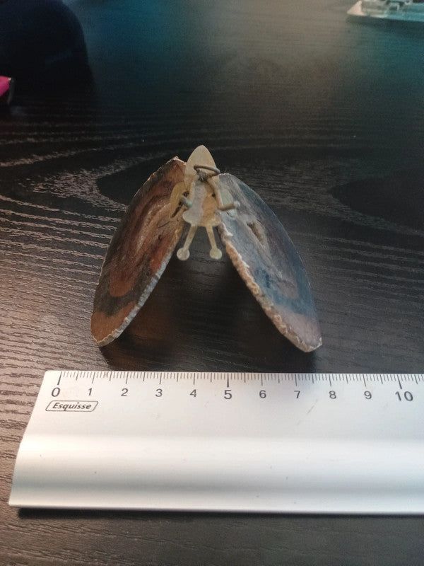 Papillon en pierre d'Agathe