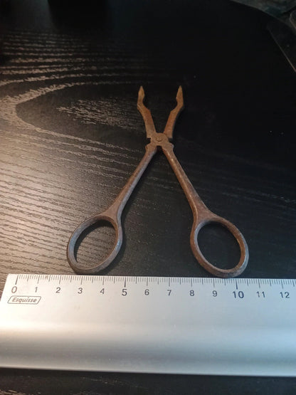 Ciseaux Pince à sucre pour décoration (rouillé)