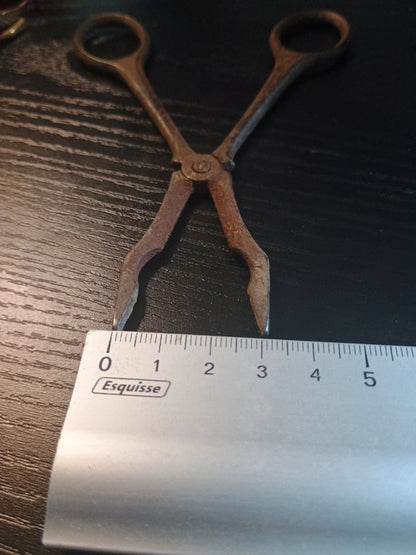 Ciseaux Pince à sucre pour décoration (rouillé)