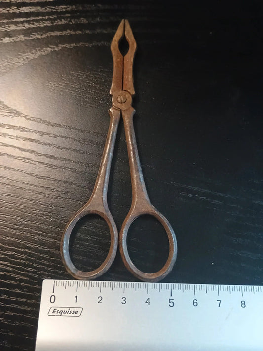 Ciseaux Pince à sucre pour décoration (rouillé)